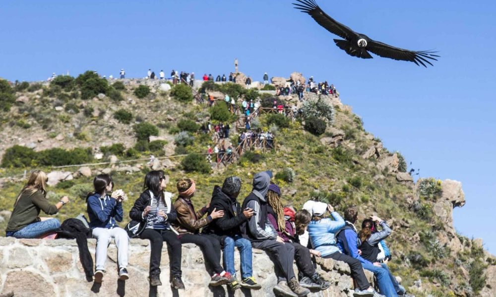 cañon del colca